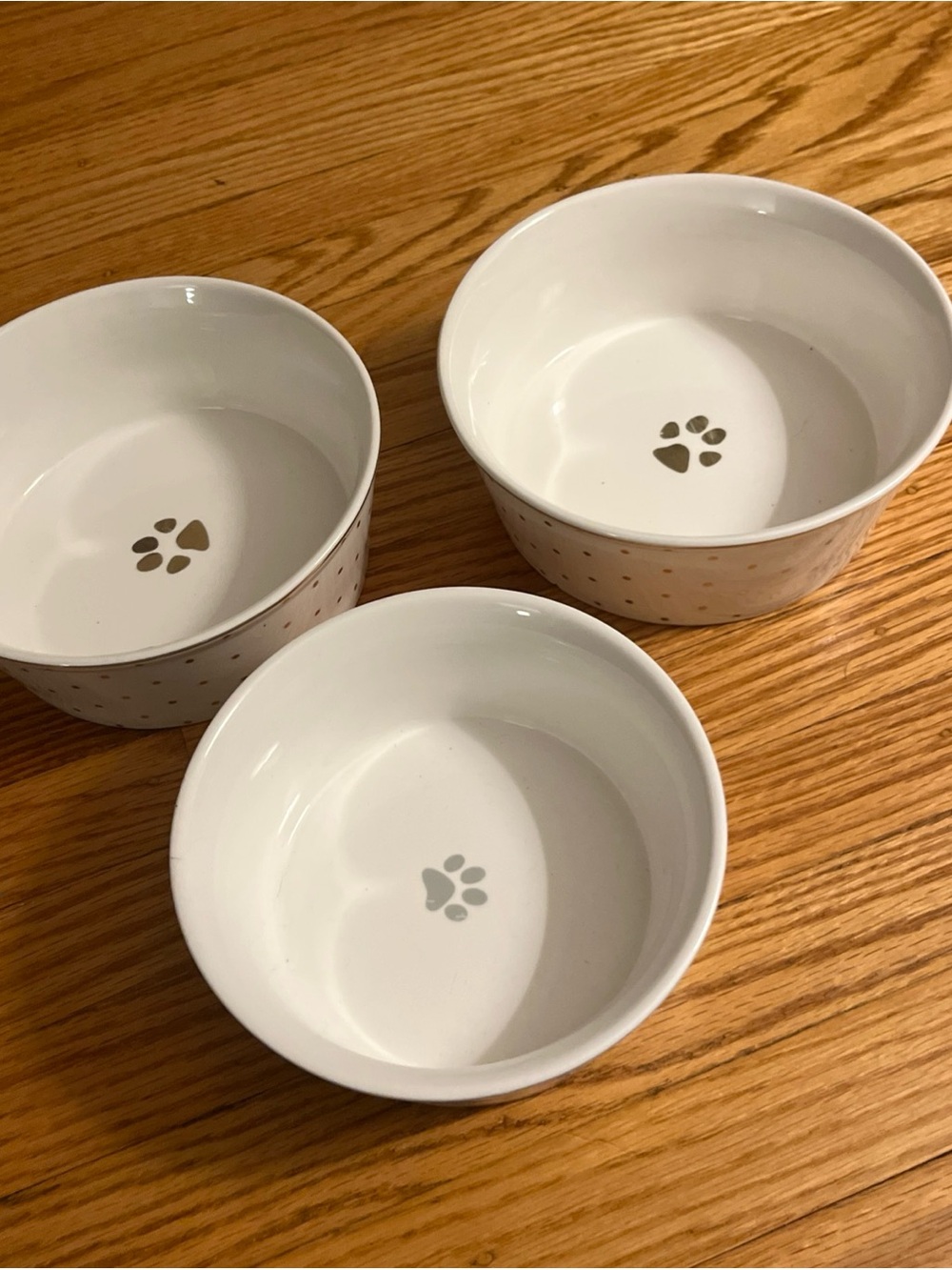 Fido's Diner Ceramic Water and Food Bowl Set White Gray Dots and Gold Rim
